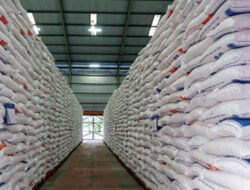 Beras Surplus, Jagung-Telur Gula Ditarget Bebas Impor Tahun Depan